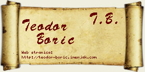 Teodor Borić vizit kartica